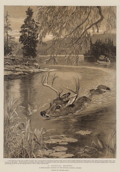 A Critical Moment by William Small